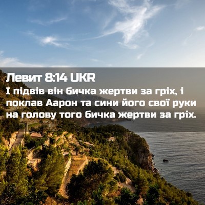 Picture 02 - Левит 8:14 UKR - І підвів він бичка жертви - Bible Verse Picture