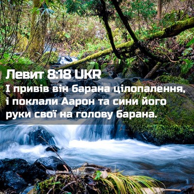 Picture 02 - Левит 8:18 UKR - І привів він барана - Bible Verse Picture