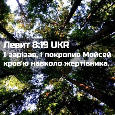 Picture 02 - Левит 8:19 UKR - І зарізав, і покропив - Bible Verse Picture