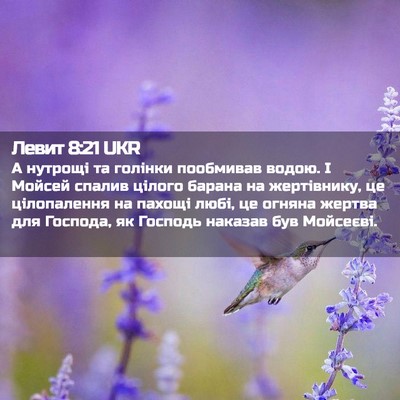 Picture 02 - Левит 8:21 UKR - А нутрощі та голінки - Bible Verse Picture