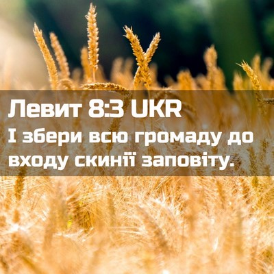 Picture 02 - Левит 8:3 UKR - І збери всю громаду до - Bible Verse Picture