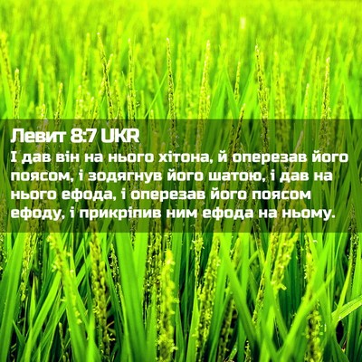 Picture 02 - Левит 8:7 UKR - І дав він на нього хітона, й - Bible Verse Picture