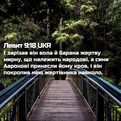 Picture 02 - Левит 9:18 UKR - І зарізав він вола й барана - Bible Verse Picture