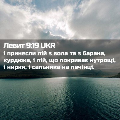 Picture 02 - Левит 9:19 UKR - і принесли лій з вола та з - Bible Verse Picture