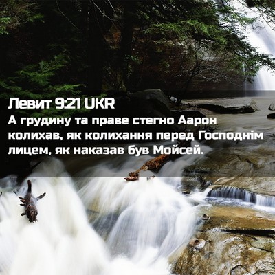 Picture 02 - Левит 9:21 UKR - А грудину та праве стегно - Bible Verse Picture