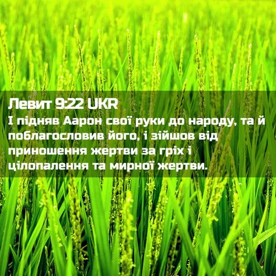 Picture 02 - Левит 9:22 UKR - І підняв Аарон свої руки до - Bible Verse Picture