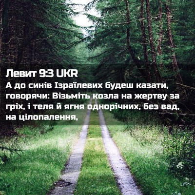 Picture 02 - Левит 9:3 UKR - А до синів Ізраїлевих - Bible Verse Picture