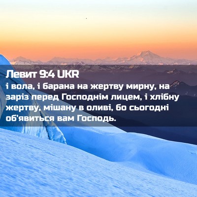 Picture 02 - Левит 9:4 UKR - і вола, і барана на жертву - Bible Verse Picture