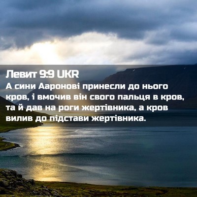 Picture 02 - Левит 9:9 UKR - А сини Ааронові принесли - Bible Verse Picture