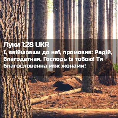 Picture 02 - Луки 1:28 UKR - І, ввійшовши до неї, - Bible Verse Picture