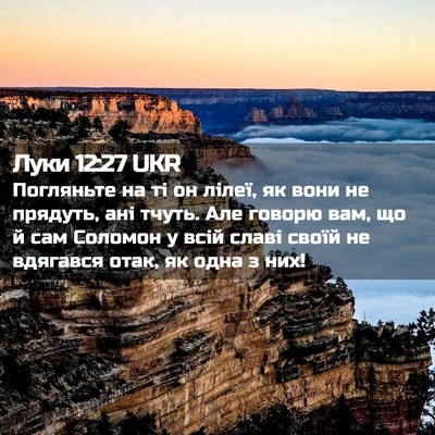 Picture 02 - Луки 12:27 UKR - Погляньте на ті он лілеї, - Bible Verse Picture