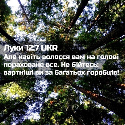 Picture 02 - Луки 12:7 UKR - Але навіть волосся вам на - Bible Verse Picture