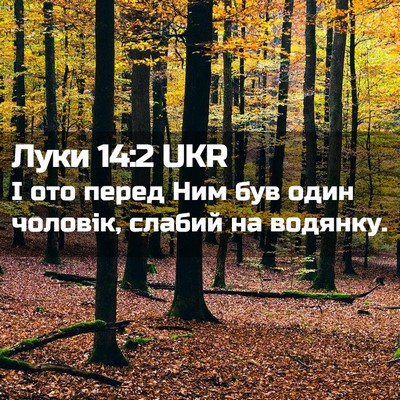 Picture 02 - Луки 14:2 UKR - І ото перед Ним був один - Bible Verse Picture