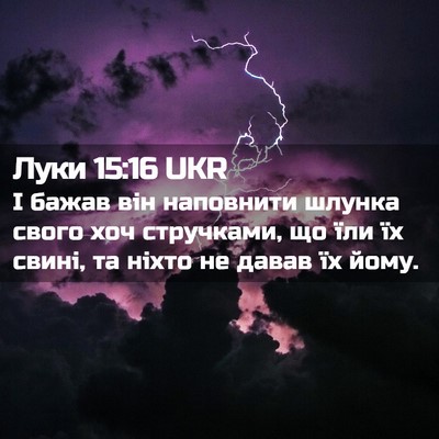 Picture 02 - Луки 15:16 UKR - І бажав він наповнити - Bible Verse Picture