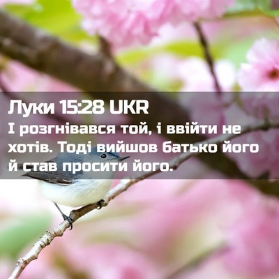 Picture 02 - Луки 15:28 UKR - І розгнівався той, і ввійти - Bible Verse Picture