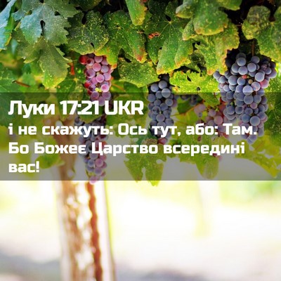 Picture 02 - Луки 17:21 UKR - і не скажуть: Ось тут, або: - Bible Verse Picture