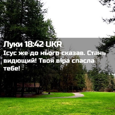 Picture 02 - Луки 18:42 UKR - Ісус же до нього сказав. - Bible Verse Picture