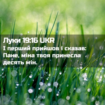 Picture 02 - Луки 19:16 UKR - І перший прийшов і сказав: - Bible Verse Picture