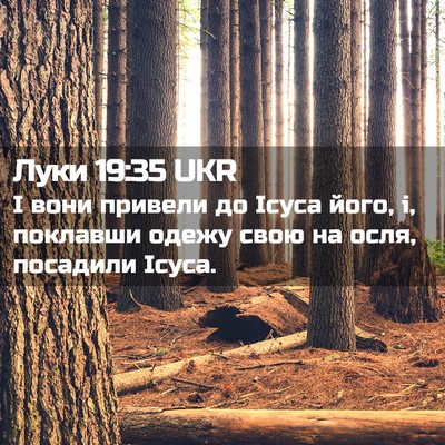 Picture 02 - Луки 19:35 UKR - І вони привели до Ісуса - Bible Verse Picture