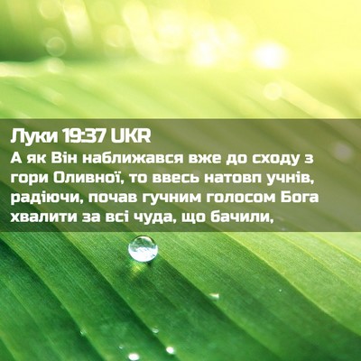 Picture 02 - Луки 19:37 UKR - А як Він наближався вже до - Bible Verse Picture