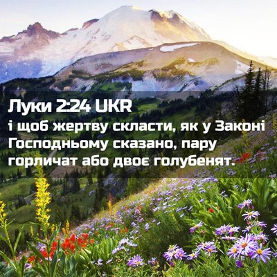 Picture 02 - Луки 2:24 UKR - і щоб жертву скласти, як у - Bible Verse Picture