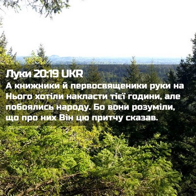 Picture 02 - Луки 20:19 UKR - А книжники й - Bible Verse Picture