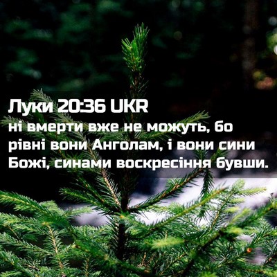 Picture 02 - Луки 20:36 UKR - ні вмерти вже не можуть, бо - Bible Verse Picture