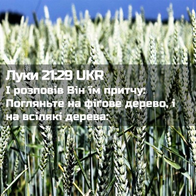 Picture 02 - Луки 21:29 UKR - І розповів Він їм притчу: - Bible Verse Picture