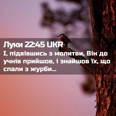 Picture 02 - Луки 22:45 UKR - І, підвівшись з молитви, - Bible Verse Picture