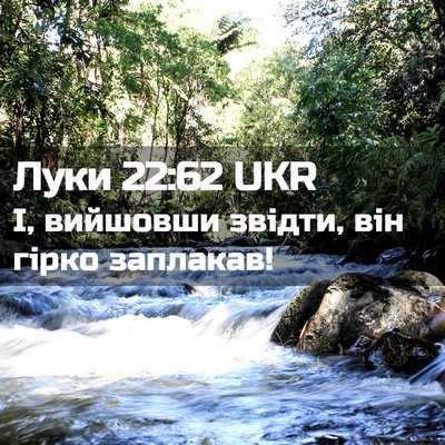 Picture 02 - Луки 22:62 UKR - І, вийшовши звідти, він - Bible Verse Picture