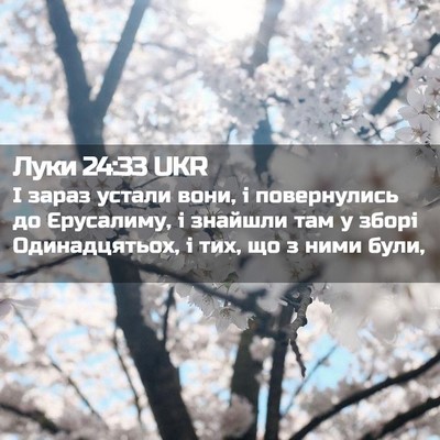 Picture 02 - Луки 24:33 UKR - І зараз устали вони, і - Bible Verse Picture