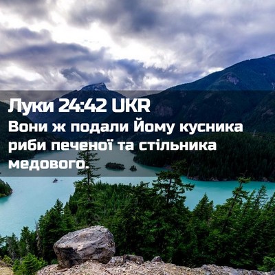 Picture 02 - Луки 24:42 UKR - Вони ж подали Йому кусника - Bible Verse Picture