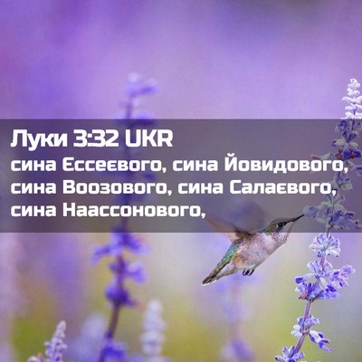 Picture 02 - Луки 3:32 UKR - сина Єссеєвого, сина - Bible Verse Picture