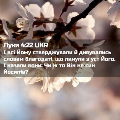Picture 02 - Луки 4:22 UKR - І всі Йому стверджували й - Bible Verse Picture