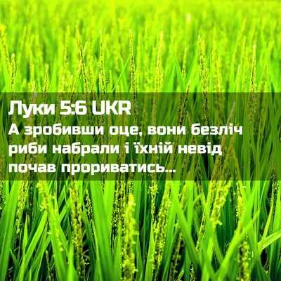 Picture 02 - Луки 5:6 UKR - А зробивши оце, вони безліч - Bible Verse Picture
