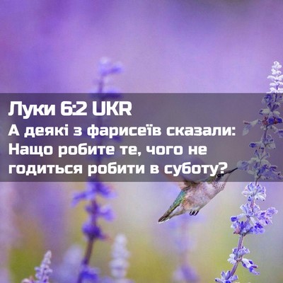Picture 02 - Луки 6:2 UKR - А деякі з фарисеїв сказали: - Bible Verse Picture