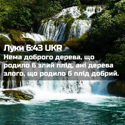 Picture 02 - Луки 6:43 UKR - Нема доброго дерева, що - Bible Verse Picture
