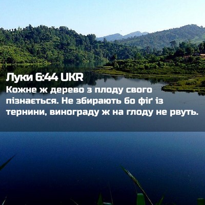 Picture 02 - Луки 6:44 UKR - Кожне ж дерево з плоду - Bible Verse Picture
