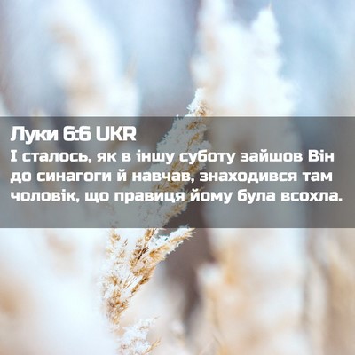 Picture 02 - Луки 6:6 UKR - І сталось, як в іншу суботу - Bible Verse Picture