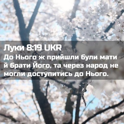 Picture 02 - Луки 8:19 UKR - До Нього ж прийшли були - Bible Verse Picture
