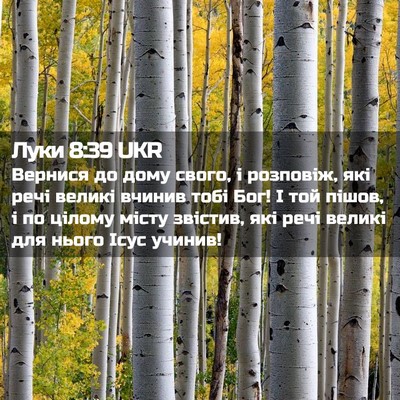 Picture 02 - Луки 8:39 UKR - Вернися до дому свого, і - Bible Verse Picture