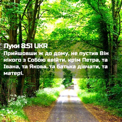 Picture 02 - Луки 8:51 UKR - Прийшовши ж до дому, не - Bible Verse Picture