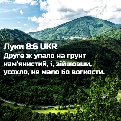 Picture 02 - Луки 8:6 UKR - Друге ж упало на ґрунт - Bible Verse Picture