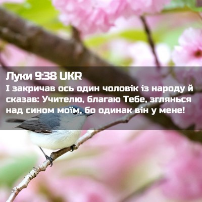 Picture 02 - Луки 9:38 UKR - І закричав ось один - Bible Verse Picture
