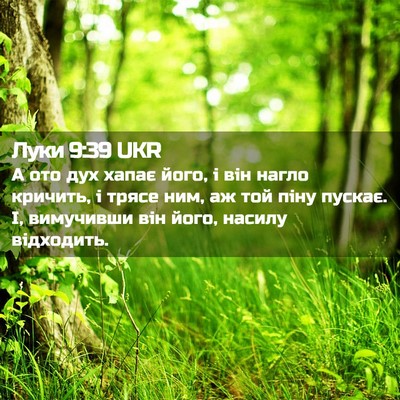 Picture 02 - Луки 9:39 UKR - А ото дух хапає його, і він - Bible Verse Picture