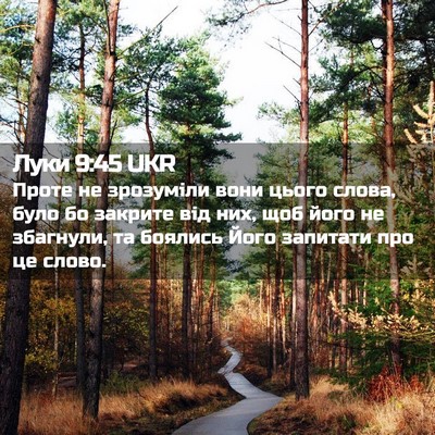 Picture 02 - Луки 9:45 UKR - Проте не зрозуміли вони - Bible Verse Picture