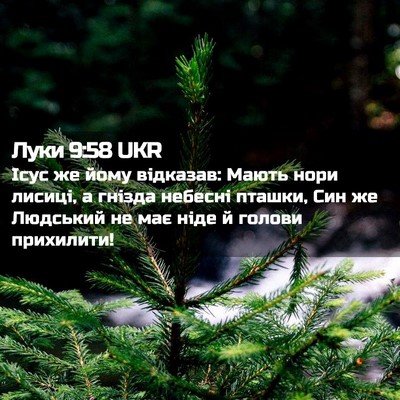 Picture 02 - Луки 9:58 UKR - Ісус же йому відказав: - Bible Verse Picture