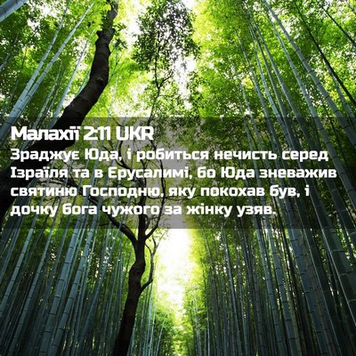 Picture 02 - Малахії 2:11 UKR - Зраджує Юда, і робиться - Bible Verse Picture