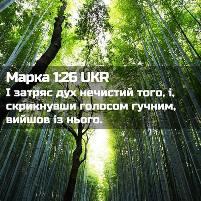Picture 02 - Марка 1:26 UKR - І затряс дух нечистий того, - Bible Verse Picture