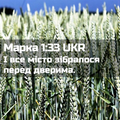 Picture 02 - Марка 1:33 UKR - І все місто зібралося - Bible Verse Picture
